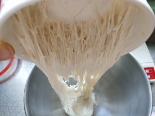 波兰种，牛奶吐司,发酵好的波兰种倒入揉面盆中，可以看到内部蜂窝煤状