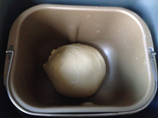 椰蓉小面包,开始发酵