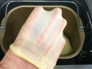椰蓉奶香面包棒,可以拉出薄膜即可，整理好面团放入面包机桶内进行一发。