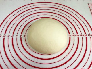 椰蓉奶香面包棒,把发酵好的面团取出排气，滚圆松弛10分钟，盖上保鲜膜防止表皮风干。
