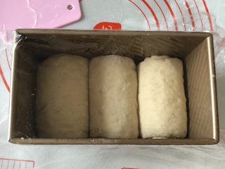 全麦胚芽吐司,从上往下卷起，摆入吐司盒，盖上保鲜膜二次发酵