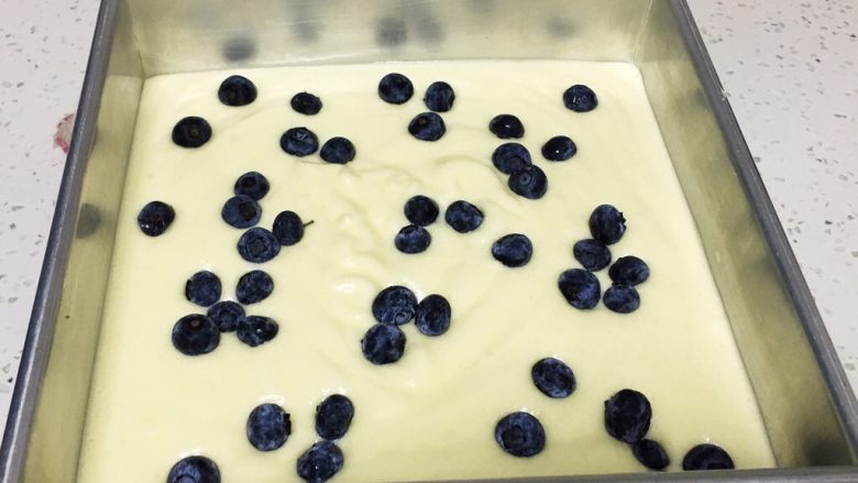 10寸蓝莓戚风蛋糕,蛋糕糊倒入模具一半，放入蓝莓再倒入剩下的蛋糕糊。