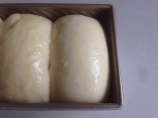  酸奶吐司,放入烤箱发酵至8、9分满（发酵温度在37度，在烤箱内放一碗热水），发酵好后的面包胚，表面刷上一层全蛋液