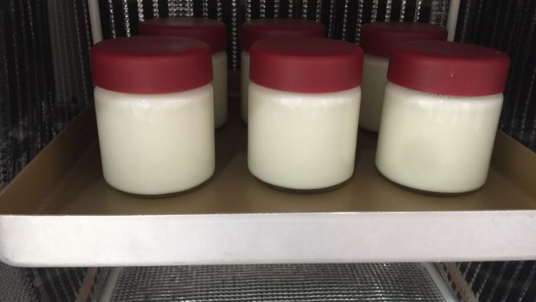 原味老酸奶,放入发酵箱中43度发酵8小时