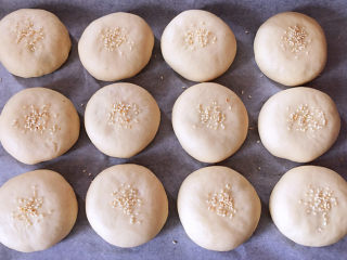 日式红豆包,取出发酵好的面团，表面撒上白芝麻。