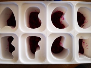 多彩酸奶冰棒,模具洗净消毒后用勺先将火龙果肉舀入模具中