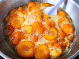 杏酱,煮开以后，继续中火熬煮，并不断的慢慢搅拌，防止糊底。