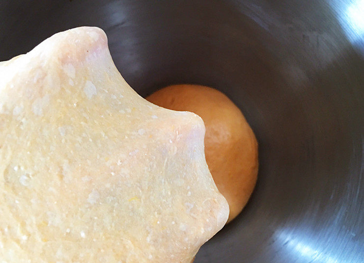 全麦南瓜面包,开4档高速揉至扩展阶段。此时可以抻出薄膜，但容易破裂，做甜面包揉到这样就可以了。