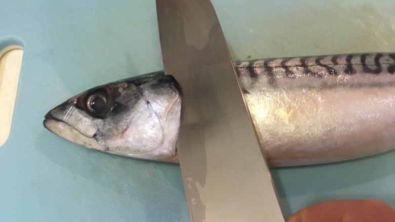 干煎鲭鱼,从鱼鳃的部分下刀