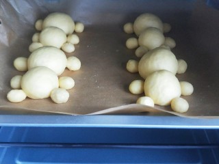 卡通小熊面包,进行第二次发酵。
