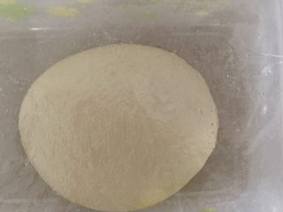 酸奶辫子小吐司,稍微整理好放入发酵盒中盖上保鲜膜还是一发，室温发酵60分钟