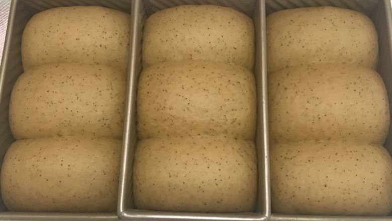 中种红糖枣泥吐司,送进发酵箱温度在35度，湿度保持在80％左右。发酵9分满。