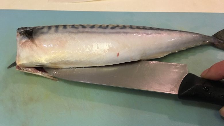 盐渍鲭鱼,沿着鱼肚中线切开