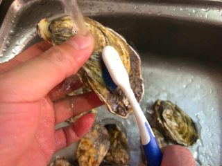 蒜蓉牡蛎,牡蛎用刷子把外壳刷干净
