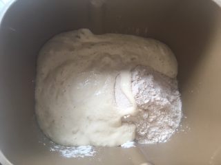 天然酵种乡村面包,加入发酵好的酵头材料，加冷水启动揉面程序活成面团