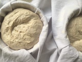 天然酵种乡村面包,发酵好的面团明显膨胀很多，用手指按下去会轻轻回弹起来