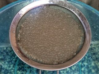 蜂蜜椰汁芒果西米露,用网筛沥干水。