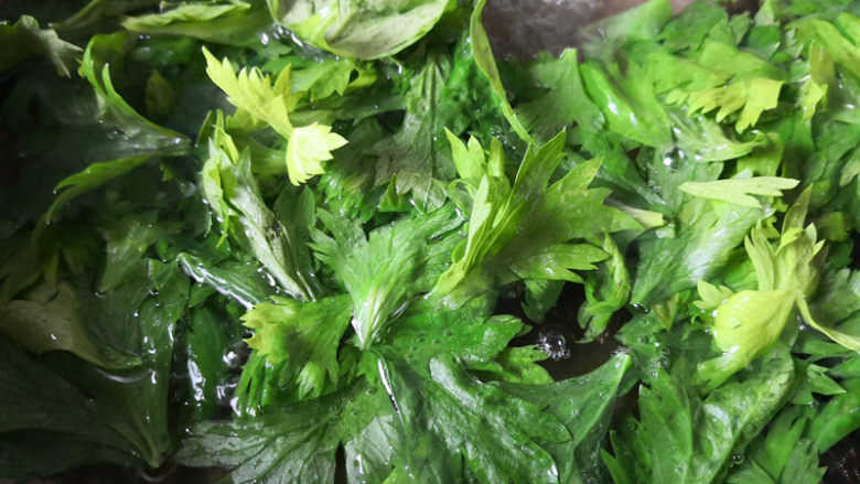 凉拌芹菜叶,锅里添加适量清水，烧开后，放一点盐，盐量没在配方里，再放入芹菜叶焯水，这样芹菜叶会比较绿，颜色漂亮，