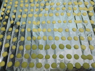 蛋黄溶豆,开始挤豆豆。两个豆豆之间隔开一定的距离。