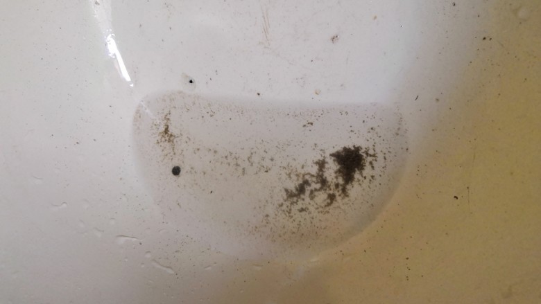 丝瓜花蛤汤,盆的下面也有很多吐出来的泥沙。