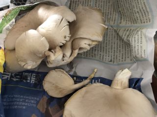不可思议的菜：脆炸平菇,常用新鲜菌类保存小妙招：报纸！裹住就好，放到冰箱里面。