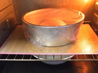 海苔肉松全麦包,烤箱发酵档，底部放一碗热水，帮助发酵，时间60分钟。