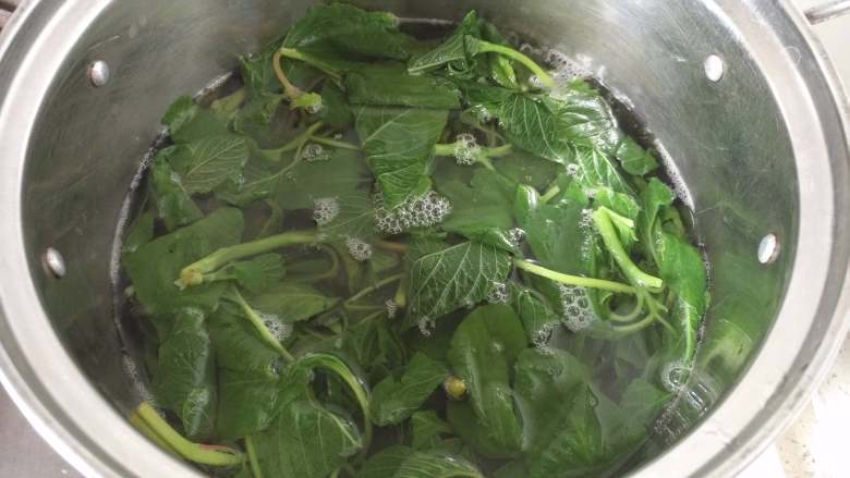 绿苋菜馅饺子,锅中水烧开，放入洗净的绿苋菜焯水1分钟，捞出过凉水
