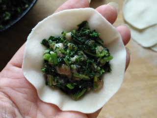 绿苋菜馅饺子,取一个饺子皮，加入适量馅，
