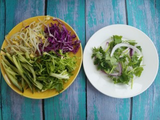 夏日凉拌菜,先准备好需要的食材，把黄瓜切成丝，豆芽洗干净。苦菊切成丝，紫甘蓝切成丝。再切点儿香菜和洋葱丝。