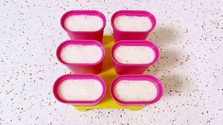 蔓越莓酸奶冰棍,装入冰棍模具里面。