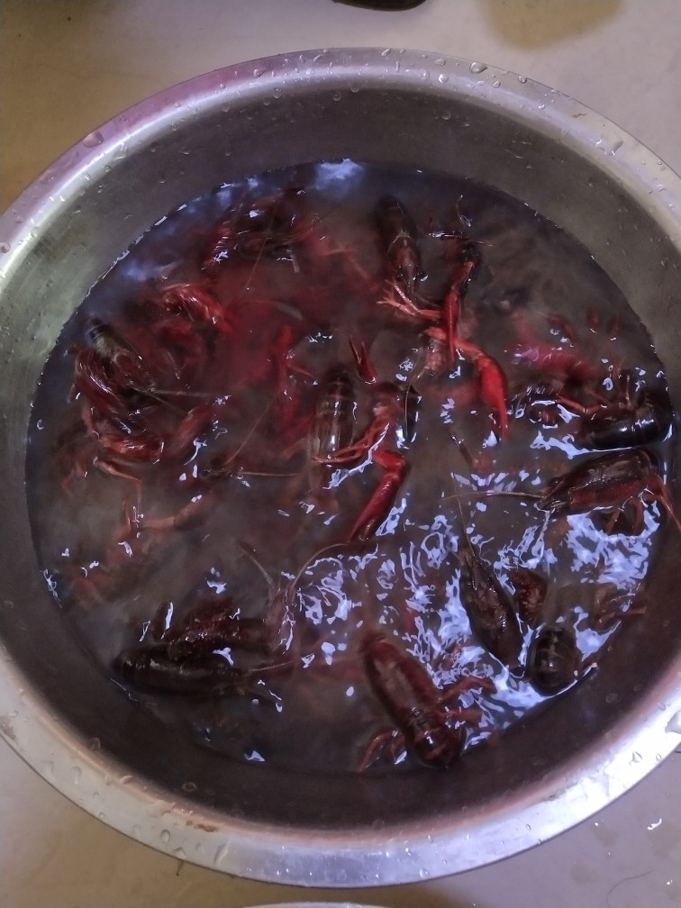 秘制香辣小龙虾,小龙虾入手后，放入水中。让活虾自己吐泥（5分钟），然后换2-3盆清水去泥。