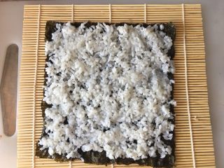 寿司,放入适量米饭，铺均匀，四周留出1厘米的空隙，不要铺太满太厚