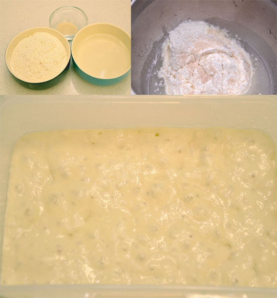 抹茶奶酪软欧包, 将波兰种材料混合均匀，盖好入冰箱冷藏约17小时。
