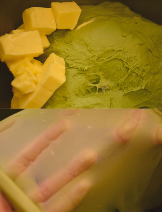 抹茶奶酪软欧包,将除黄油外的面团材料加入厨师机搅拌桶，开启1档聚成团后转3档揉面至较光滑状态，加入软化的黄油。