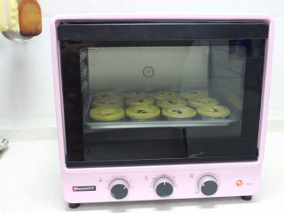 蓝莓蛋挞,海氏B30烤箱预热，220度放倒数第二层，烤20分钟即可。