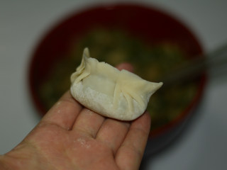 韭菜煎饺,将饺子皮对折，两边的皮捏紧，包成饺子状