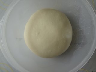 香葱火腿粒面包,取出稍微整理光滑放入发酵碗中盖上保鲜膜开始一发26度发酵60分钟，具体根据温度面团状态判断