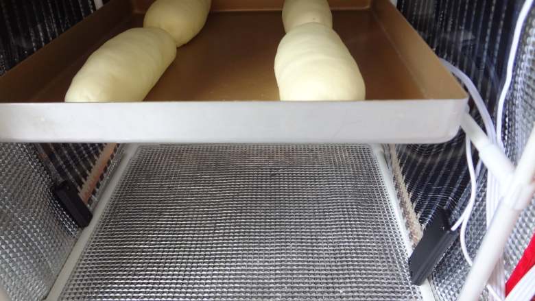  红豆牛奶哈斯,
放入发酵箱中开始二发，36度40分钟具体看状态，轻按表面指窝回缩缓慢就可以了
