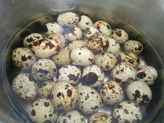 快手小食
卤味茶香鹌鹑蛋,买回来的鹌鹑蛋要在清水中冲洗几下嗷