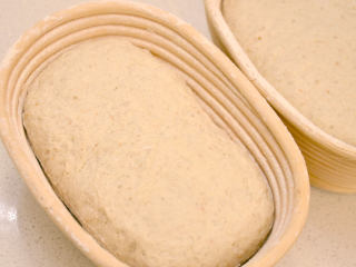 健康黑麦乡村面包,面团收口朝上放入筛了面粉的发酵篮中，适当按扁。