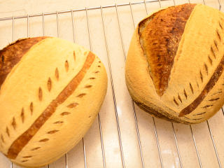健康黑麦乡村面包,烘烤结束，面包立即出炉，将烤盘震一下后再将面包脱出烤盘，放网架上晾凉即可。