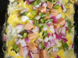 东北烤冷面,把鸡蛋摊熟，然后把火腿肠，洋葱，葱和香菜，都放上去。