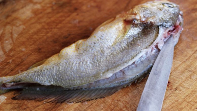 清蒸剁椒黄花鱼,把黄花鱼放在菜板上、用刀先在黄花鱼的头部开始片刀到黄花鱼的鱼尾处、切记不要把黄花鱼的肚子切开呀
