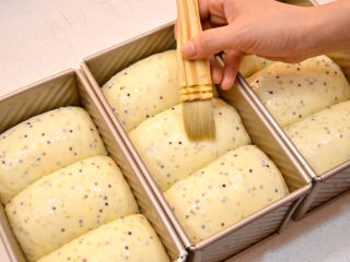 营养黎麦吐司,发酵好的面团取出，表面均匀的刷上蛋液。