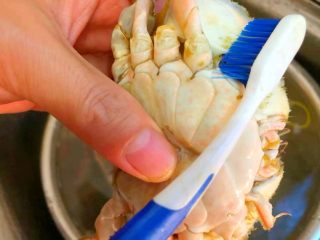 香辣蟹,用牙刷把梭子蟹的外壳刷干净