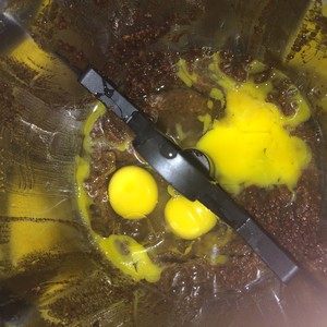 红枣红糖蛋糕,3. 加入4颗鸡蛋，设置3分半钟，3档打发鸡蛋，此时预热烤箱170度
