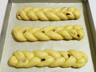 全麦南瓜蔓越莓辫子面包,再依次编完剩下的两个辫子面包，编好后摆入烤盘进行发酵。