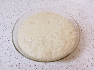 素菜包, 这是发了1个半小时的面团，已经发满盆了(夏天面团发酵的比较快)。