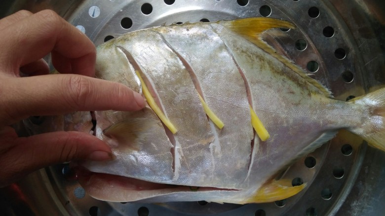 清蒸鱼,鱼的正反面都划三刀，每条缝里放根姜丝，放在姜片上。