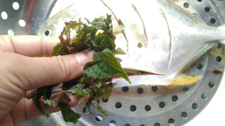 清蒸鱼,取一半紫苏也放入鱼肚子中。